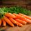 Top gezondheidsvoordelen van wortelen